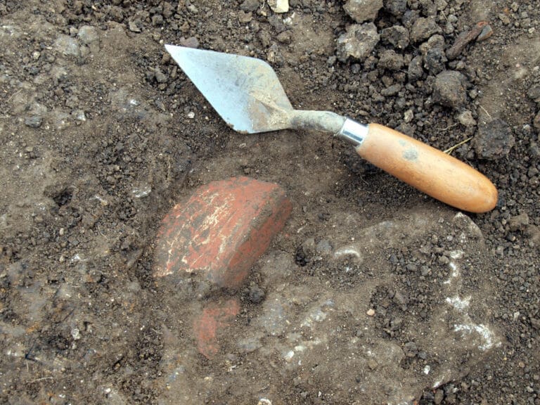News from the Dig